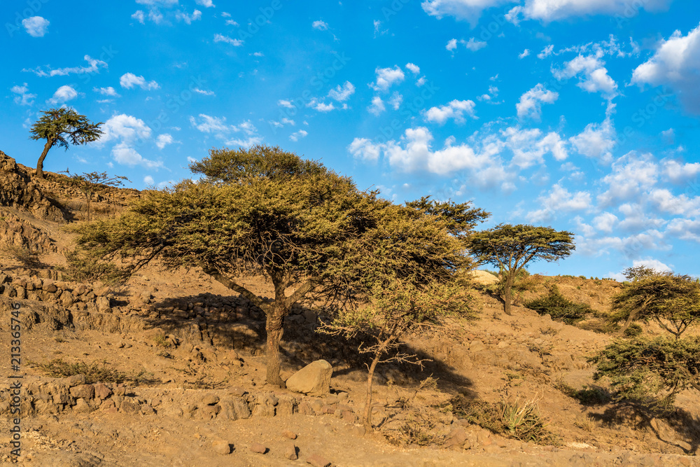 Fototapeta premium Äthiopien - Fahrt von der Gheralta Lodge nach Lalibela