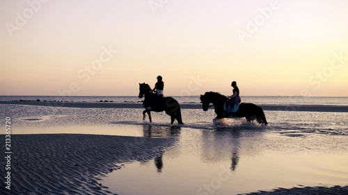 Recorded in the Netherlands. There are two horses in the water at sunset, the filmmakers Dream. The Clip was filmed at 50fps and slowed down to 50%. photo