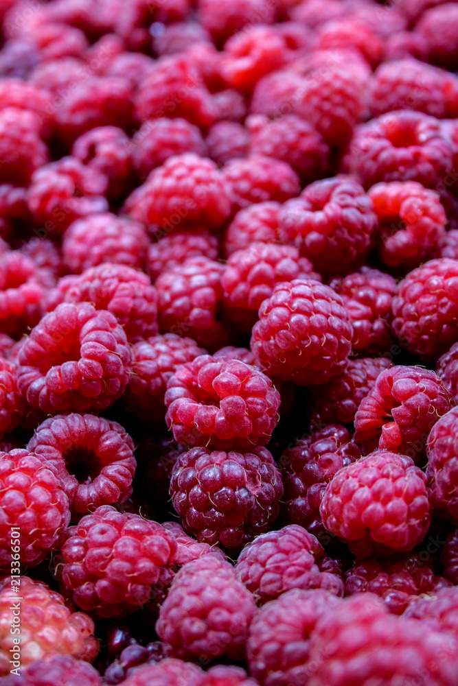 raspberry, fruit, berry, food, red, raspberries, ripe, sweet, fresh, healthy, berries, dessert, diet, closeup, summer, organic, freshness, natural, delicious, vegetarian, juicy, fruits, color, nature, raspberry, fruit, berry, food, red, raspberries, ripe, sweet, fresh, healthy, berries, dessert, diet, closeup, summer, organic, freshness, natural, delicious, vegetarian, juicy, fruits, color, nature,