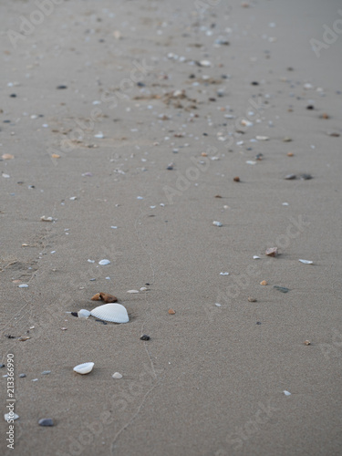 Sand beach background in Thialand