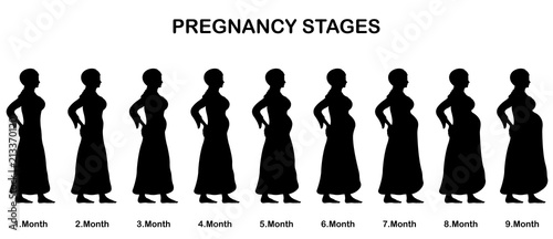 Pregnancy stages of a muslim woman silhouettes