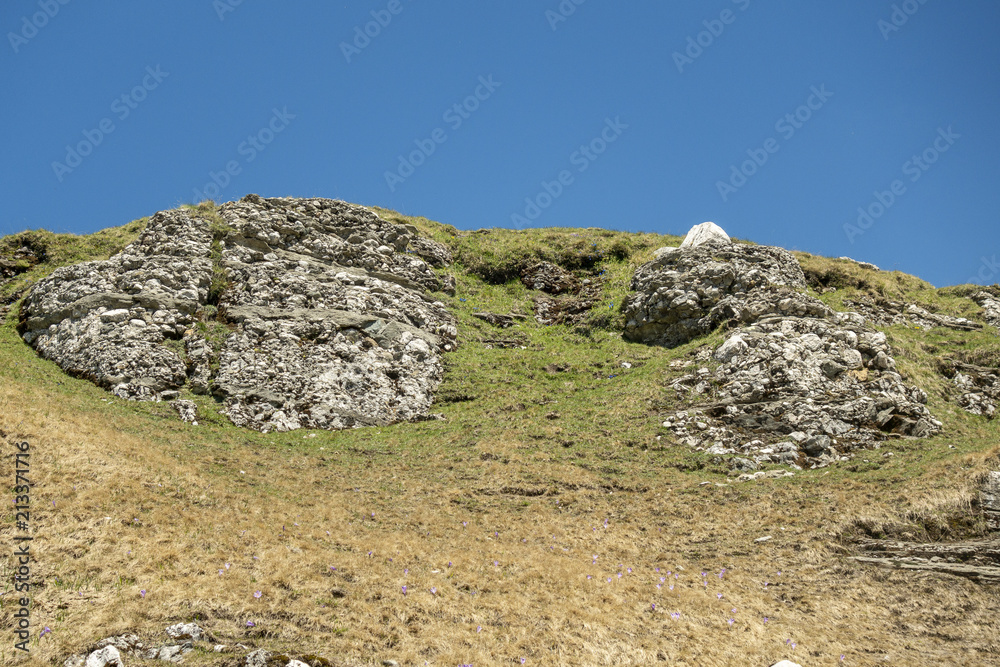 Large rock, with moss, on a field in Bucegi Mountains, Bucegi National Park, Romania Large rock, with moss, on a field in Bucegi Mountains, Bucegi National Park, Romania