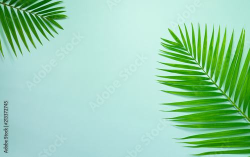 Top view,flat lay tropical palm leaves for text,present product,summer and holiday concept on blue background.