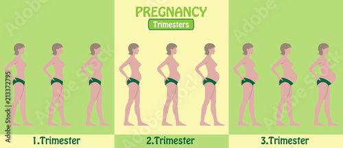 Pregnancy Trimesters of pregnant woman with pants