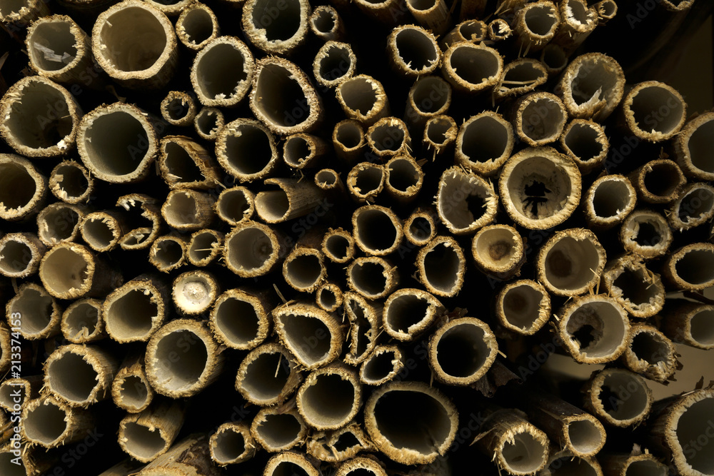 background - ends of cut dry hollow stems of plants (fragment of homemade nest block for mason bees) background - ends of cut dry hollow stems of plants (fragment of homemade nest block for mason bees)