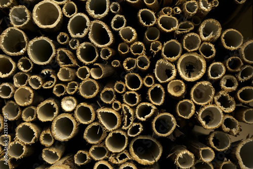 background - ends of cut dry hollow stems of plants (fragment of homemade nest block for mason bees) photo