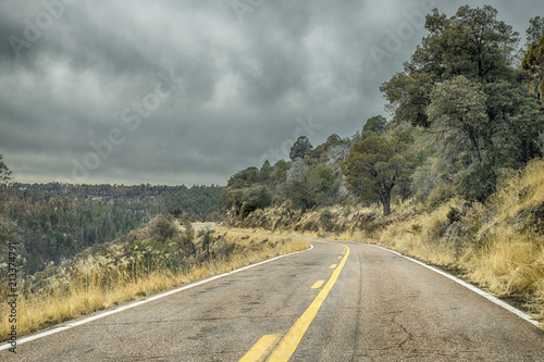 Coronado Highway (US 191) in Eastern Arizona photo