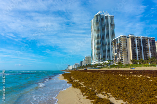 Miami Beach in Florida with luxury apartments and waterway © Solarisys