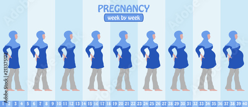 Week by week pregnancy stages of pregnant muslim woman with islamic Clothing