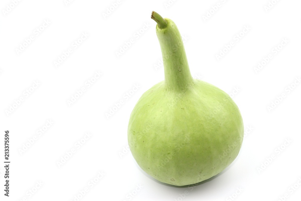 calabash vegetable on white background calabash vegetable on white background