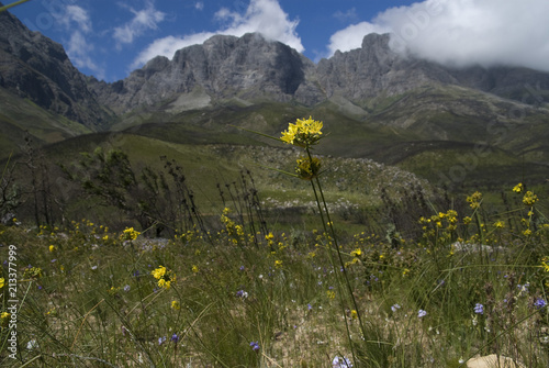 Jonkershoek Nature Reserve, Stellenbosch, South Africa
