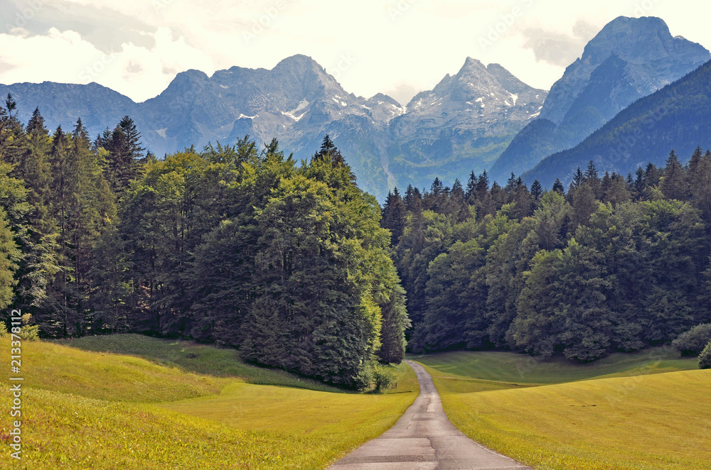 road in forest with mountains in lofer  austria