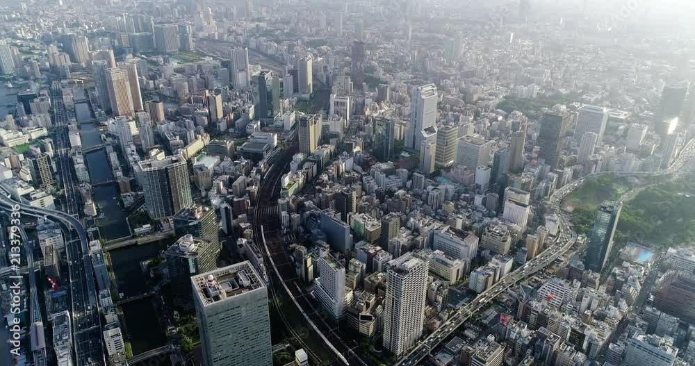 tokyo bay in aerial view