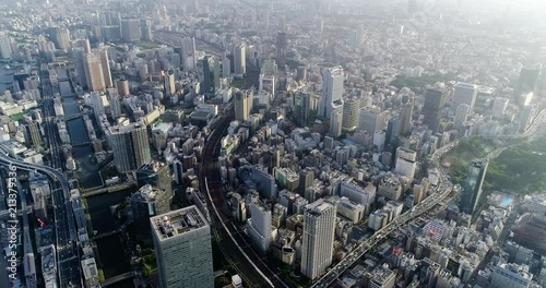 tokyo bay in aerial view