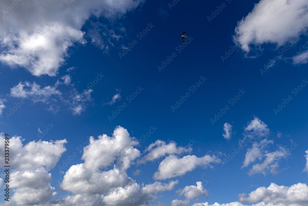 blauer himmel mit weisen Cummulus wolken über der Ostsee blauer himmel mit weisen Cummulus wolken über der Ostsee