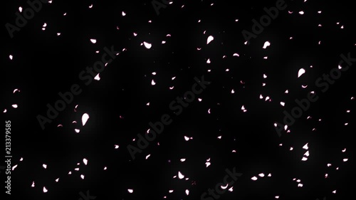 舞い上がる桜の花 パーティクル