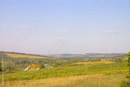 Summer landscape with fields a type of a svozvyshenost.