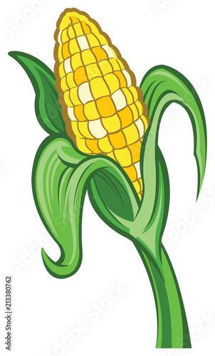 Corn on the cob