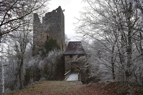 Burgruine Haichenbach liegt im Gebiet der Gemeinde Hofkirchen im Mühlkreis im Bezirk Rohrbach im oberösterreichischen Mühlviertel. 