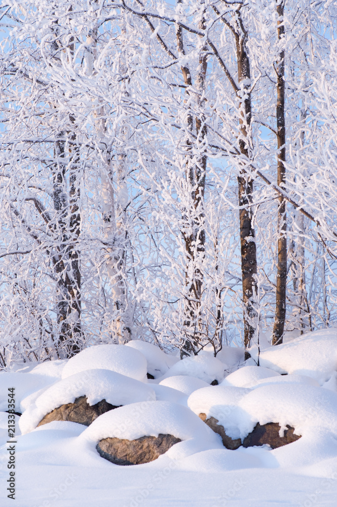 Newly fallen snow covering stones and tree branches. Newly fallen snow covering stones and tree branches.