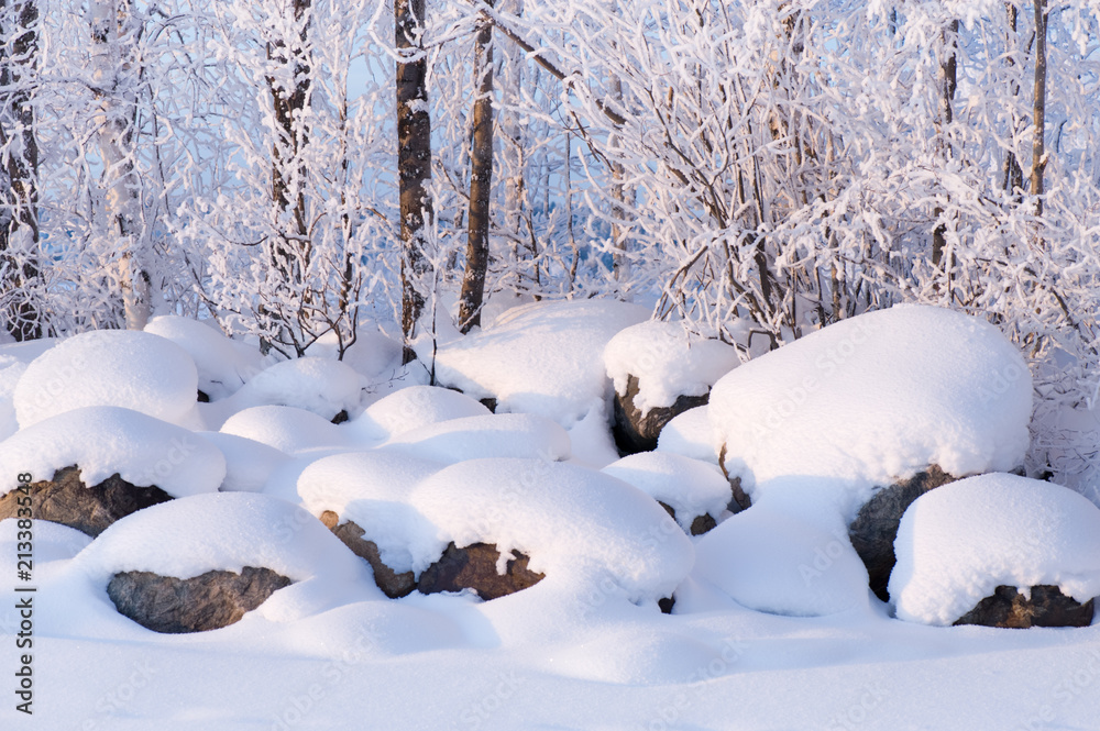 Newly fallen snow covering stones and tree branches. Newly fallen snow covering stones and tree branches.