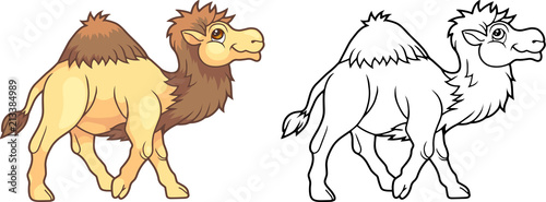 cartoon cute camel, funny illustration coloring book