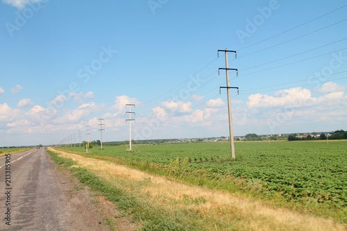 poles in the field in summer