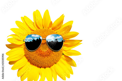 Fototapeta Naklejka Na Ścianę i Meble -  Sonnenblume mit Sonnenbrille auf weissem Hintergrund