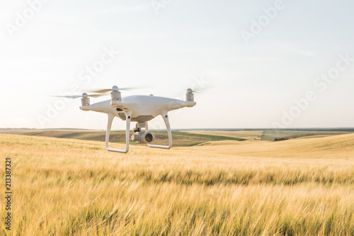 drone quad copter on green corn field