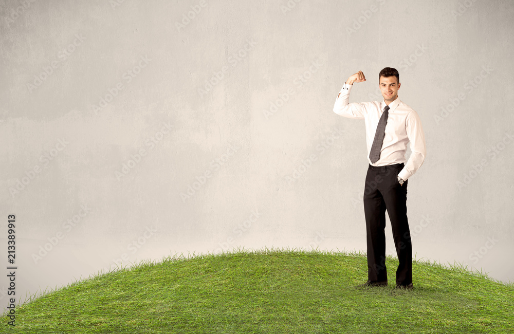A successful caucasian elegant business man standing in small green grass with briefcase in front of clear empty background concept. A successful caucasian elegant business man standing in small green grass with briefcase in front of clear empty background concept.