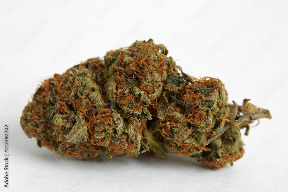 Close up of prescription and recreational indica medical marijuana isolated on monochrome background Close up of prescription and recreational indica medical marijuana isolated on monochrome background