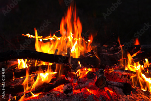 Burning red and orange flames of wood in a tourist bonfire