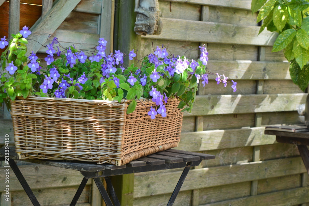 Purple flowers in a woven basket