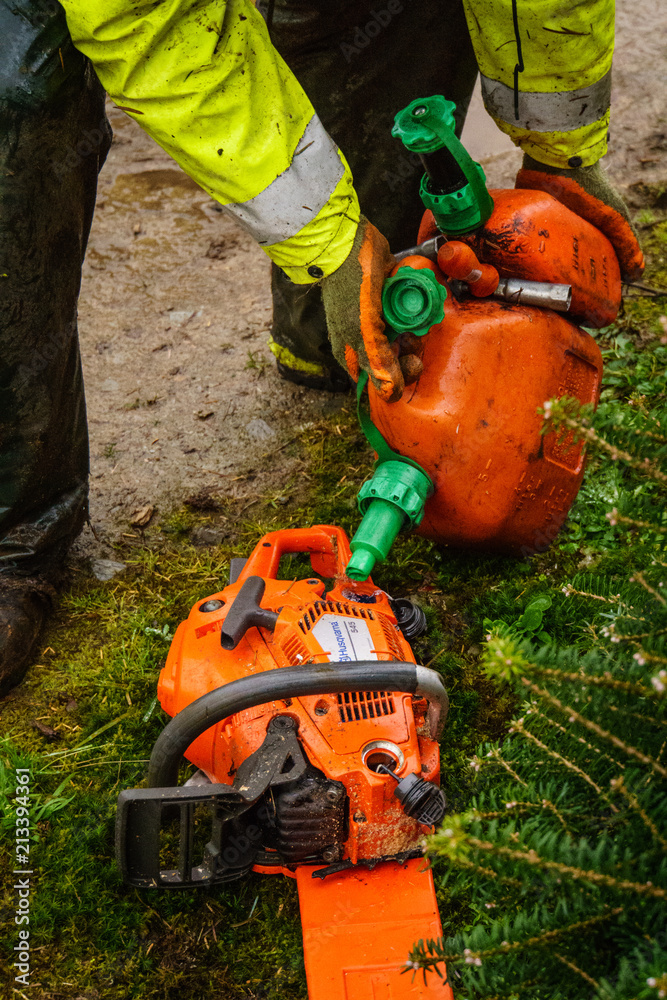 Fototapeta premium Christmas Tree Harvest