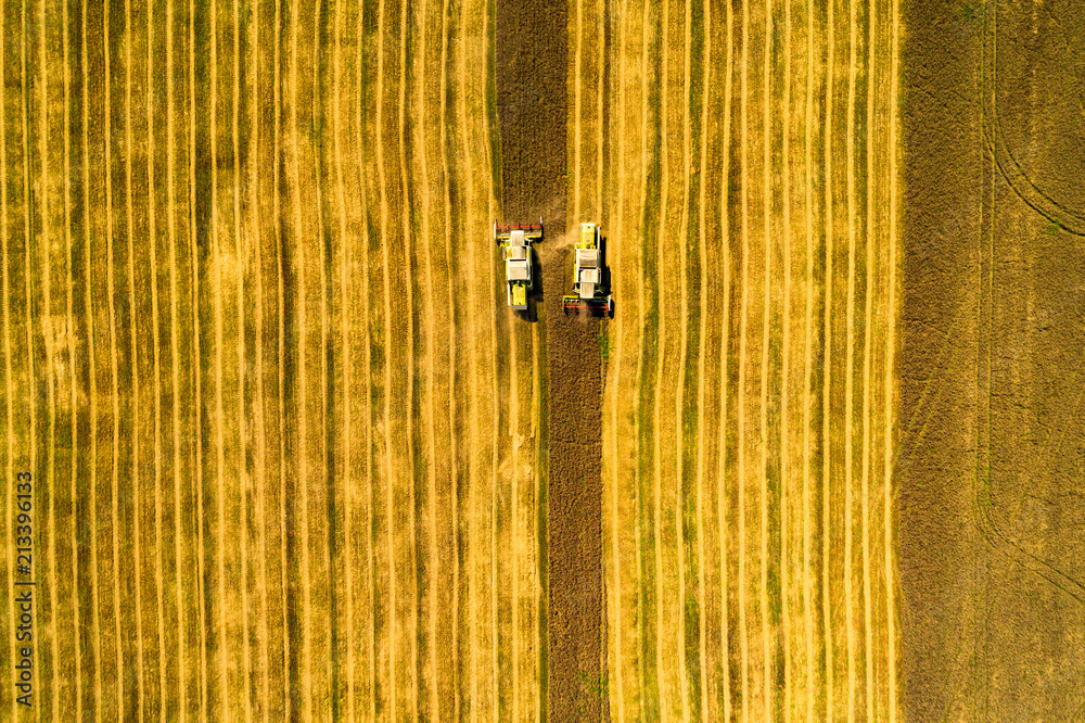 Aerial top view shot of two combine harvester next to each other harvesting wheat field on a sunny summer day Aerial top view shot of two combine harvester next to each other harvesting wheat field on a sunny summer day