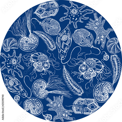 decorative composition of protozoa and amoebas