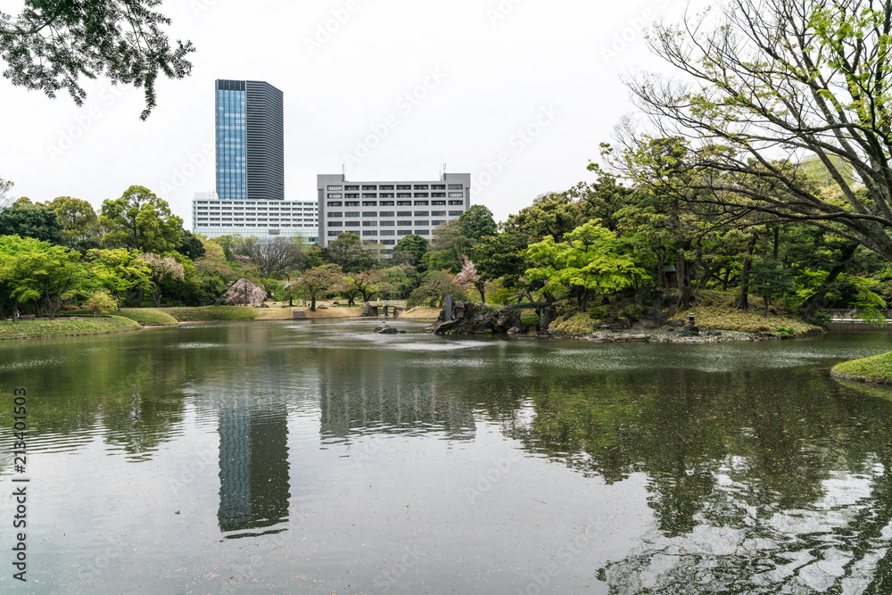 Blick über den Teich des Koishikawa Korakuen in Tokio, im Hintergrund Hochhäuser, die sich im Wasser spiegeln
