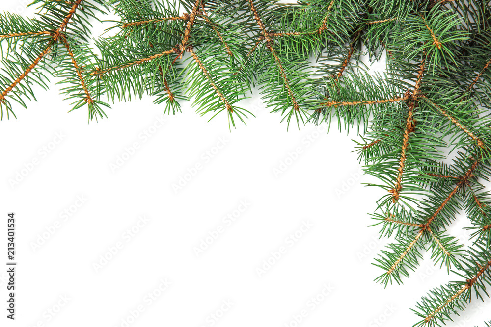 Branches of Christmas tree on white background Branches of Christmas tree on white background