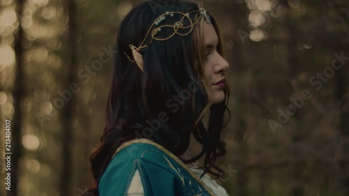 Close up portrait of a gorgeous elvish queen strolling peacefuly in a forest. Female model dressed as faitytale character. Magical creature. photo