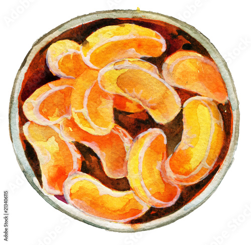 watercolor sketch of mandarins isolated on white background photo