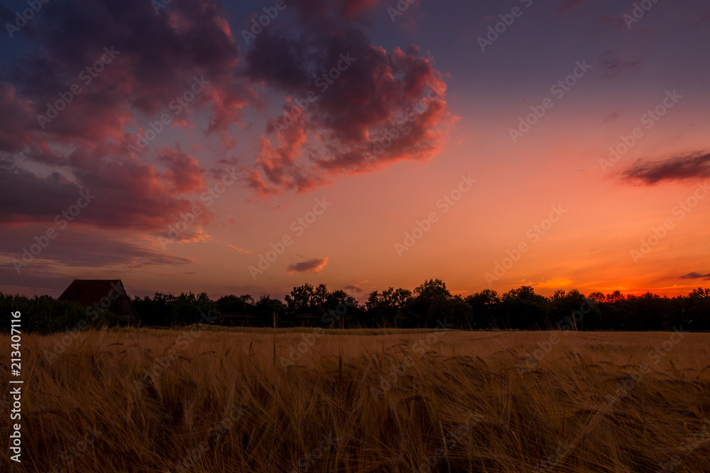 Fototapeta premium Abend Landschaft