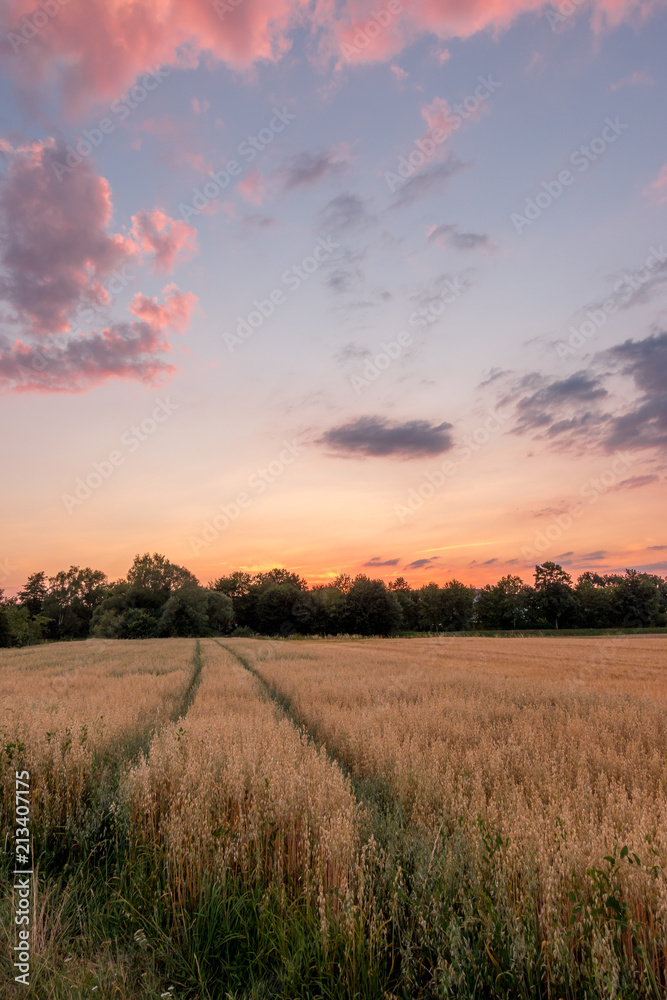 Fototapeta premium Abendstimmung 