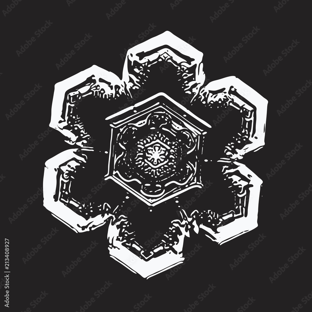 White snowflake on black background. This vector illustration based on macro photo of real snow crystal: small star plate with simple hexagonal shape and unusually complex inner pattern for such size. White snowflake on black background. This vector illustration based on macro photo of real snow crystal: small star plate with simple hexagonal shape and unusually complex inner pattern for such size.