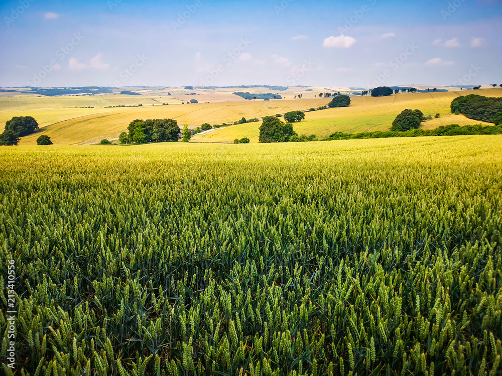 View of English Countryside Landscape Field on Summer