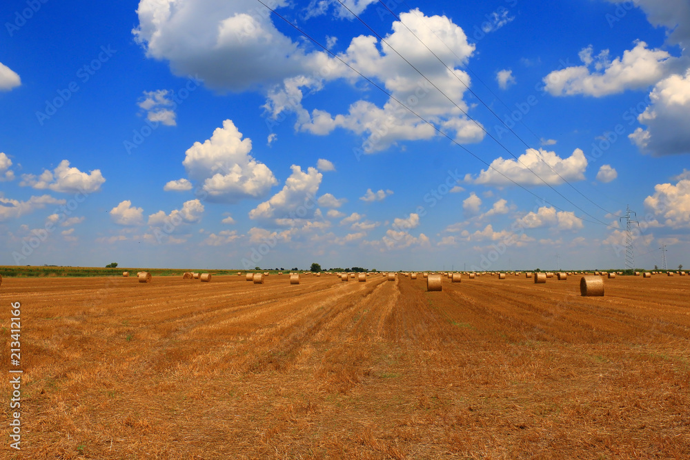 Fototapeta premium Hay and straw texture