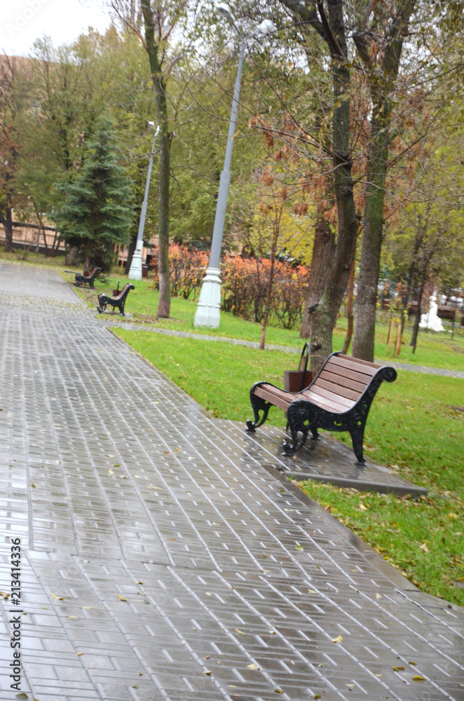 autumn Park after rain empty benches and wet asphalt autumn Park after rain empty benches and wet asphalt