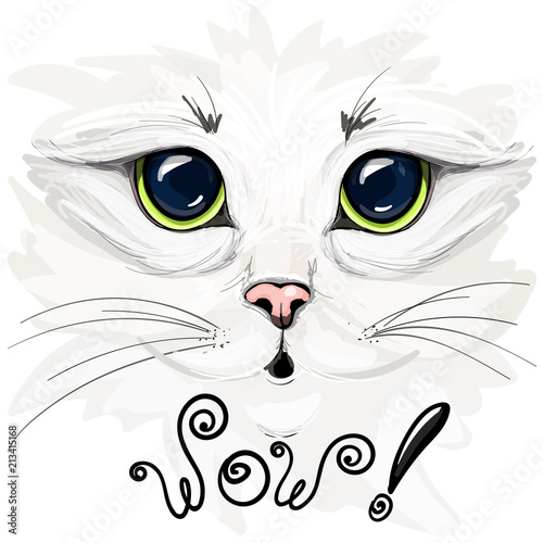 Vector illustration of a beautiful white cat.  Big cat's eyes close-up. The lettering 