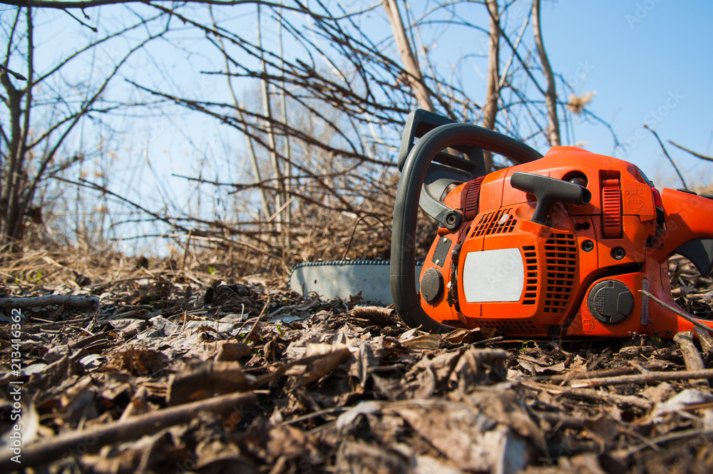 Tree felling with a large chainsaw Tree felling with a large chainsaw