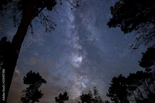 Milky Way in the night sky over the forest