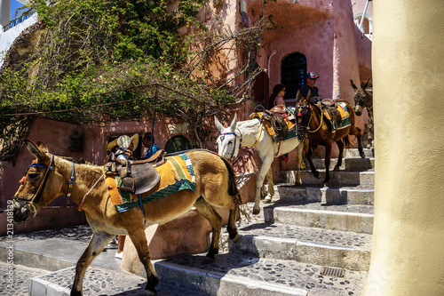 Donkey taxis in Santorini, Greece photo